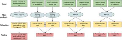 Comparison of Methods Utilizing Sex-Specific PRSs Derived From GWAS Summary Statistics